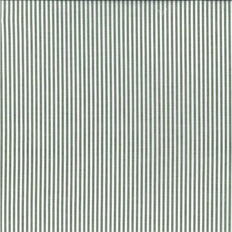 Fabric 509