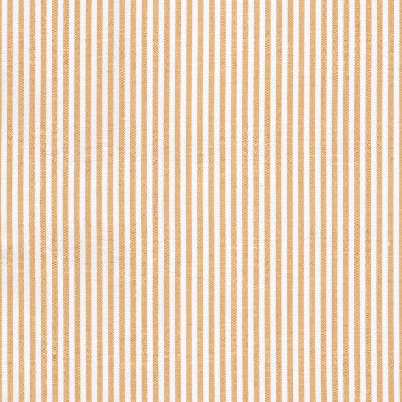 Stripe 5