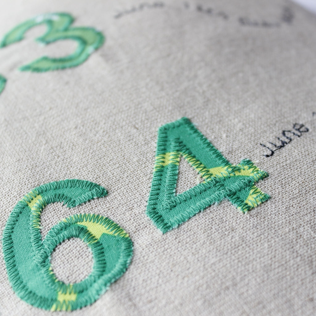 55th / Emerald Wedding Anniversary Gift Personalised Cushion - 2 Green Monkeys